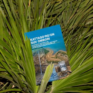 Kattaqo‘rg‘on suv ombori atrofidagi tadqiqotlar: tuproqlarning ekologik-meliorativ holati va kartografik modellar